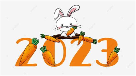 2024兔寶寶
